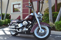 2008 Harley-Davidson FLSTN 