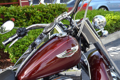 2008 Harley-Davidson FLSTN