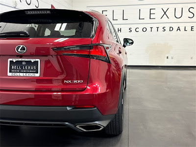 2021 Lexus NX NX 300